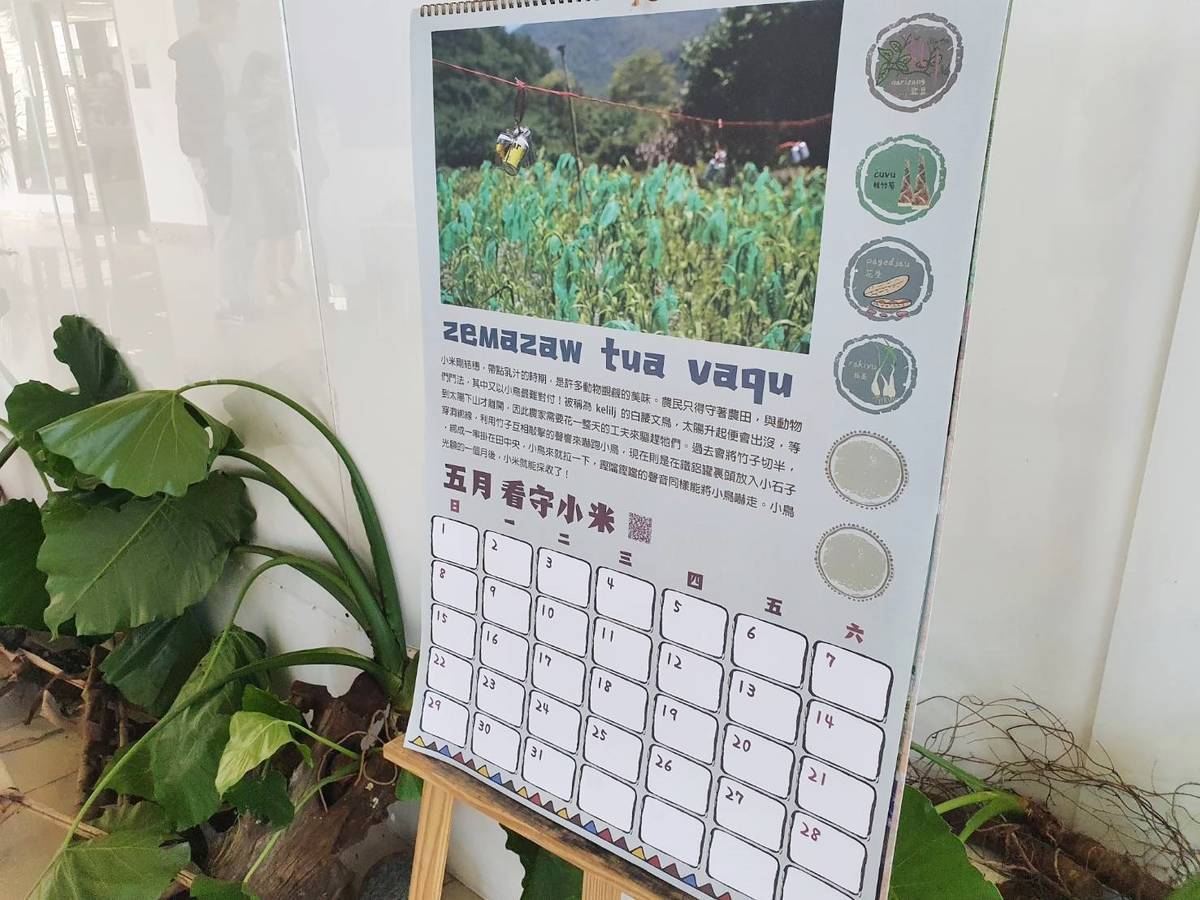 五月排灣族農事曆照片